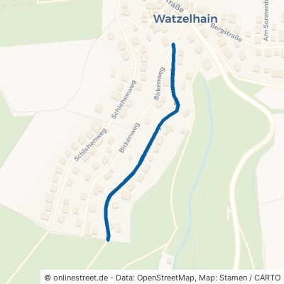 Buchenweg Heidenrod Watzelhain 