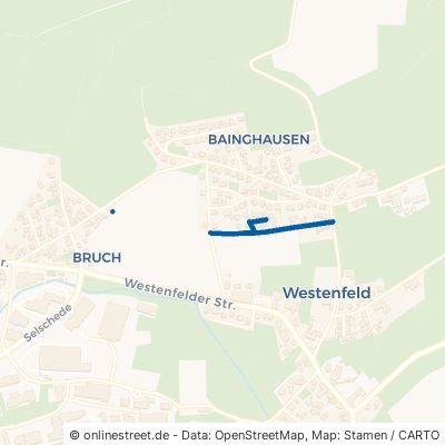 Wilhelm-Henne-Straße Sundern Westenfeld 