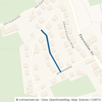 Otto-Hahn-Straße 64342 Seeheim-Jugenheim Ober-Beerbach 