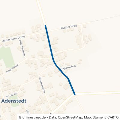 Hildesheimer Straße 31079 Adenstedt Adenstedt 