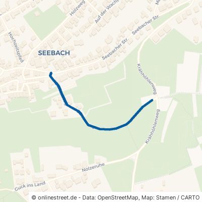 Dammweg Bad Dürkheim Seebach 