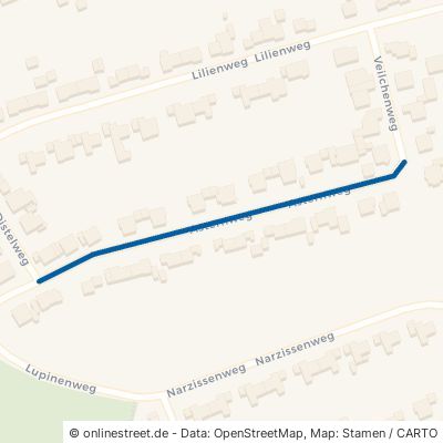 Asternweg Stolberg (Rheinland) Donnerberg 