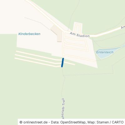 Viehtrieb-Trail Michelstadt 
