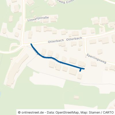 Ludger-Steinmann-Straße 53902 Bad Münstereifel 
