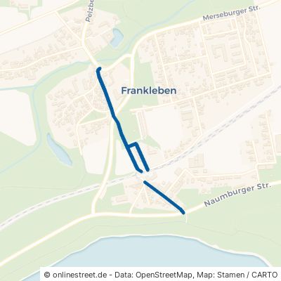 Weißenfelser Straße 06259 Braunsbedra Frankleben 