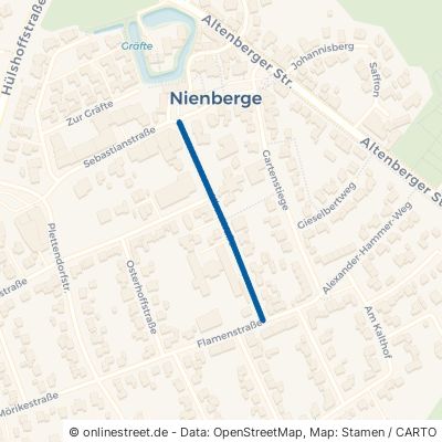 Kirmstraße Münster Nienberge 