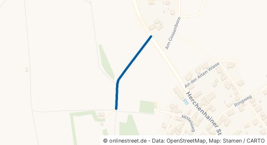 Walter-Appel-Weg 36355 Grebenhain Hartmannshain 