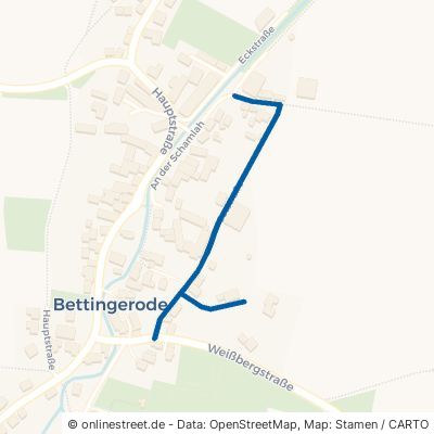 Oststraße Bad Harzburg Bettingerode 