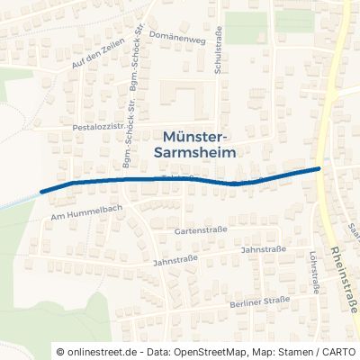 Talstraße Münster-Sarmsheim 