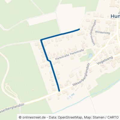 Buchholzstraße Lügde Hummersen 
