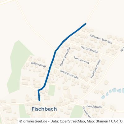 Nerpinger Straße 93149 Nittenau Fischbach 