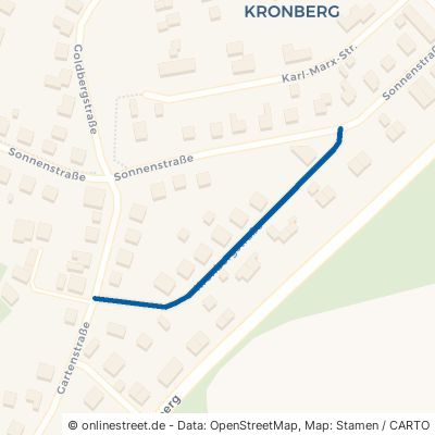 Kronbergstraße Nossen 