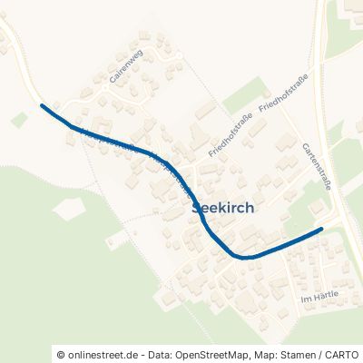 Hauptstraße Seekirch 