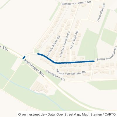 Gustav-Struve-Straße Buchen Buchen 