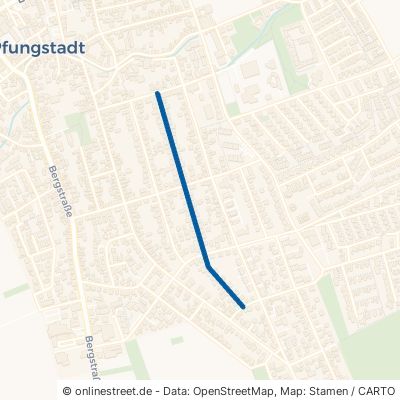 Bürgermeister-Lang-Straße Pfungstadt 