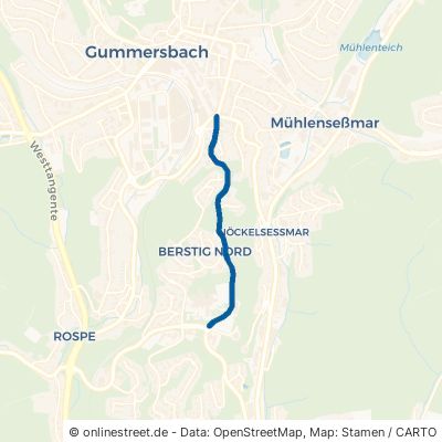 Wilhelm-Breckow-Allee 51643 Gummersbach 