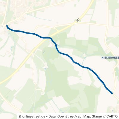 Bergheimer Straße Horn-Bad Meinberg Horn 