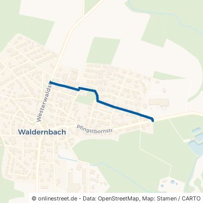 Arnikaweg Mengerskirchen Waldernbach 