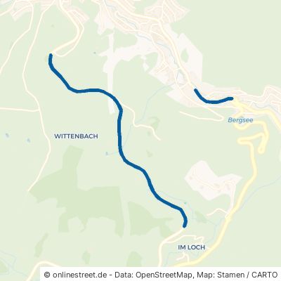 Schonacher Straße 78098 Triberg im Schwarzwald Stadtgebiet 
