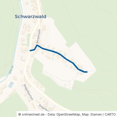 Turmgrund Luisenthal Schwarzwald 