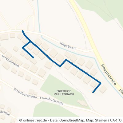Gartenstraße 77796 Mühlenbach 