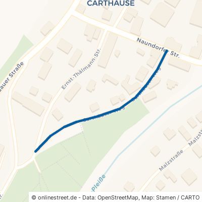 Carthäuser Weg 08459 Neukirchen (Pleiße) Neukirchen 