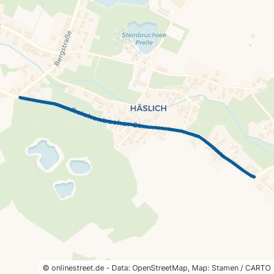 Reichenbacher Straße Haselbachtal Häslich 
