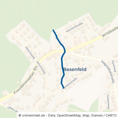 Römerweg Seewald Besenfeld 