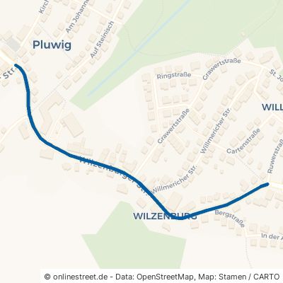 Wilzenburger Straße Pluwig 