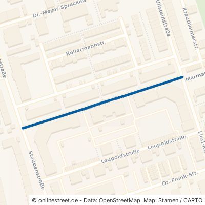 Isaak-Loewi-Straße Fürth Südstadt 