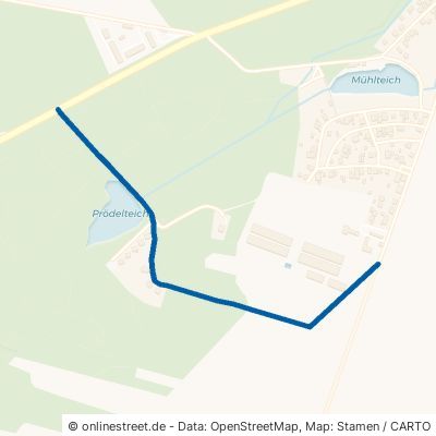 Teichdammweg Dessau-Roßlau Mosigkau 