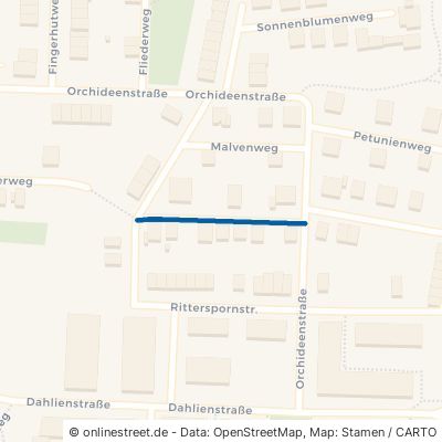 Hortensienweg 65451 Kelsterbach 