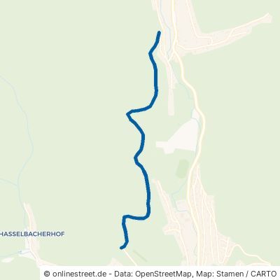 Rotzenbachweg 69250 Schönau 