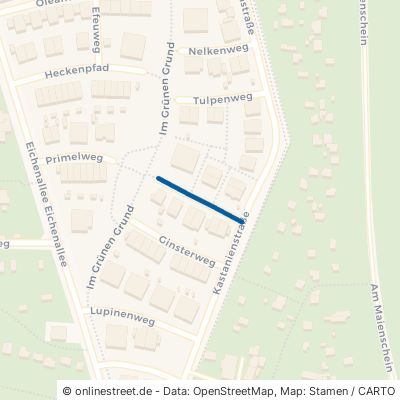 Veilchenweg 63075 Offenbach am Main Mühlheimer Straße 