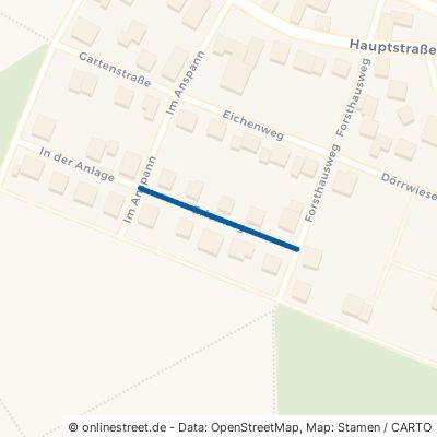 Erlenweg 55471 Wüschheim 