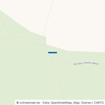 Wilder Wald Weg Merzig Merchingen 