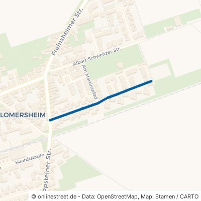 Bodelschwinghstraße Frankenthal Flomersheim 