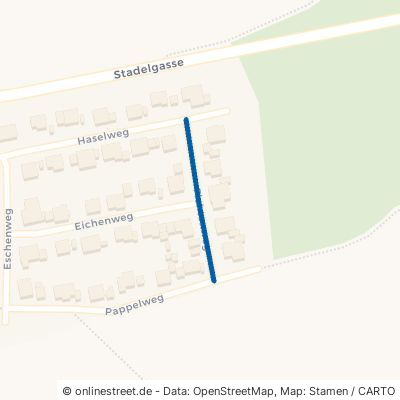 Fichtenweg Neuried Altenheim 