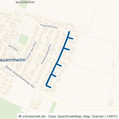 Taufsteinstraße Friedberg Bauernheim 