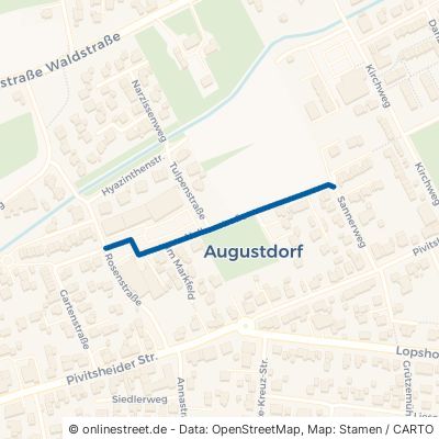 Nelkenstraße Augustdorf 