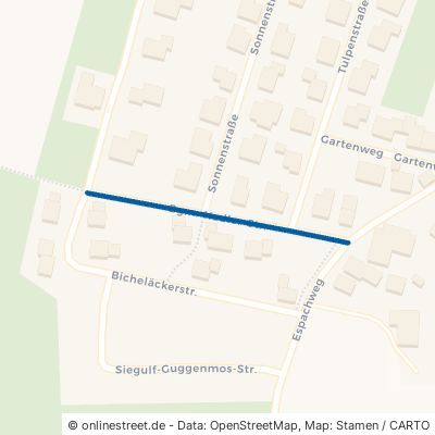 Bürgermeister-Nadler-Straße Westendorf Dösingen 