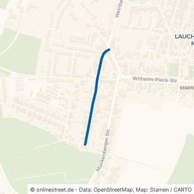 Starke Straße 01979 Lauchhammer 