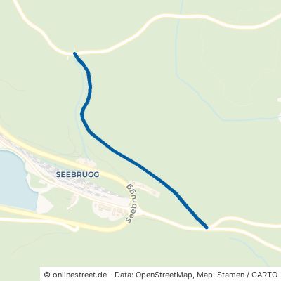 Mannhirzleweg Schluchsee Seebrugg 
