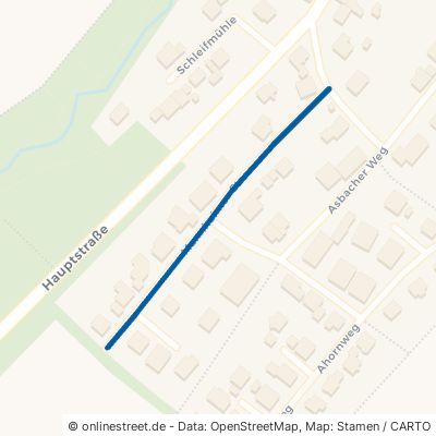 Mannheimer Straße Schwarzach Oberschwarzach 