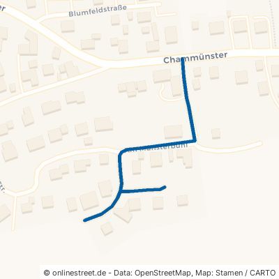 Am Münsterbühl 93413 Cham Chammünster 