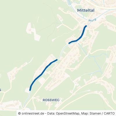 Ahornweg Baiersbronn Mitteltal 