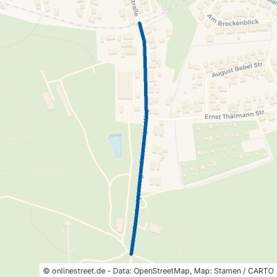 Susenburger Weg Oberharz am Brocken Elbingerode 