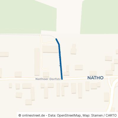 Stadtweg Dessau-Roßlau Natho 