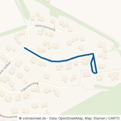 Malvenweg Grünsfeld 