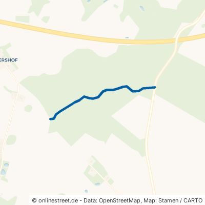 Waldweg Selpin Kowalz 
